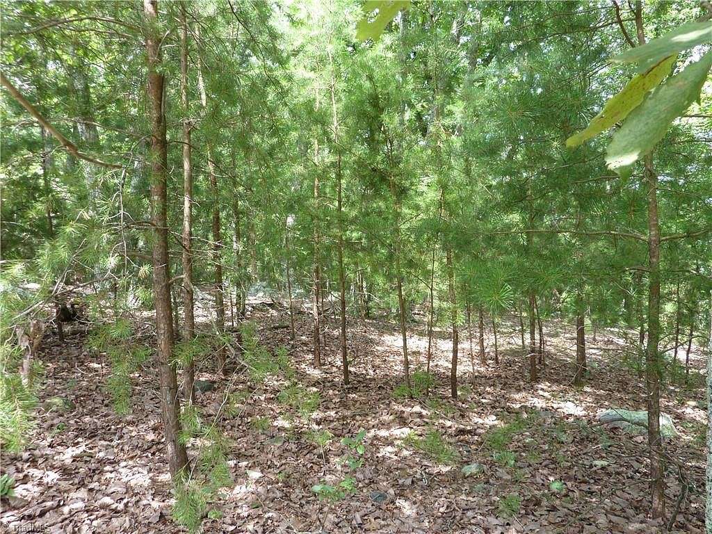 1.1 Acres of Residential Land for Sale in Denton, North Carolina