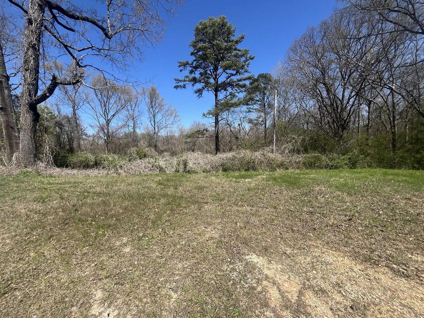 1.6 Acres of Residential Land for Sale in Bridgeport, Alabama
