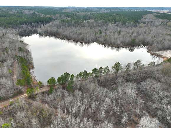 71.1 Acres of Recreational Land for Sale in Eastman, Georgia