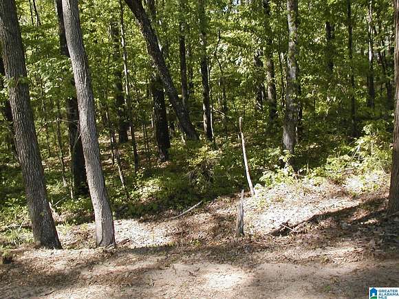 1.22 Acres of Residential Land for Sale in McCalla, Alabama