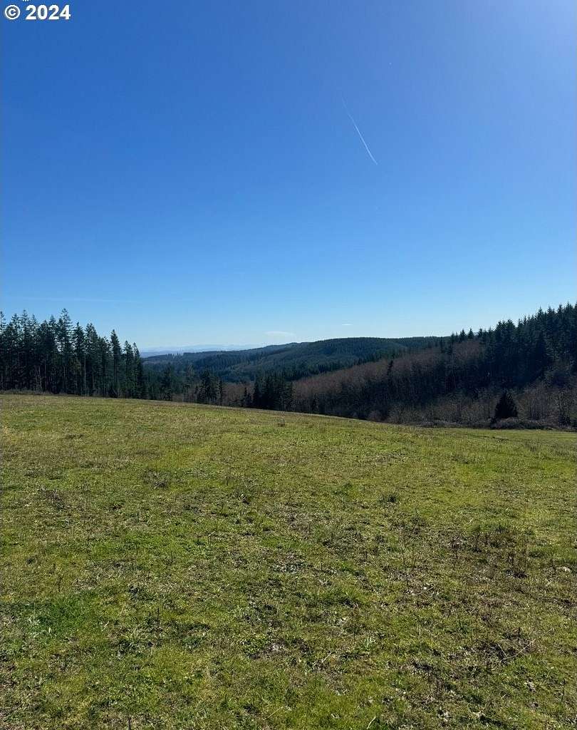 17.3 Acres of Land for Sale in St. Helens, Oregon