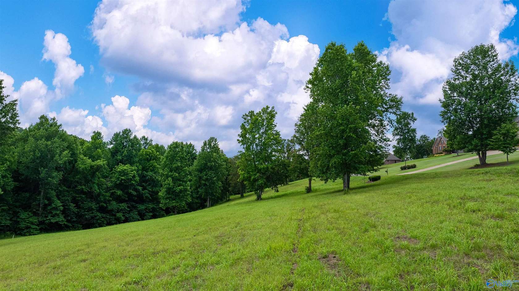 5.65 Acres of Land for Sale in Valley Head, Alabama