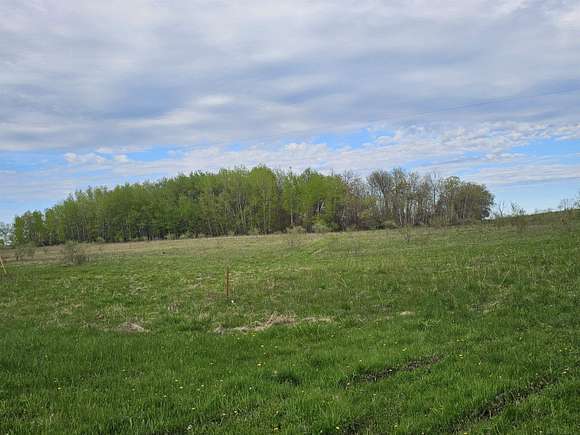 40 Acres of Land for Sale in Applegate, Michigan