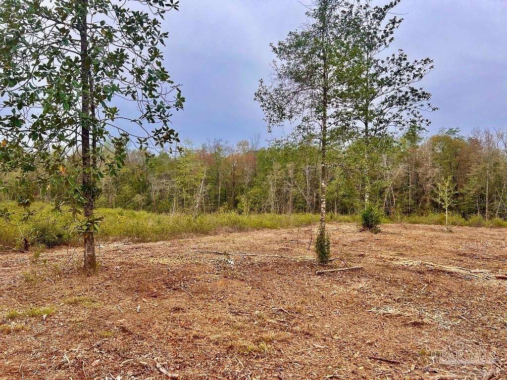17.1 Acres of Land for Sale in Molino, Florida