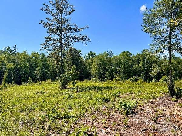 17.1 Acres of Land for Sale in Molino, Florida