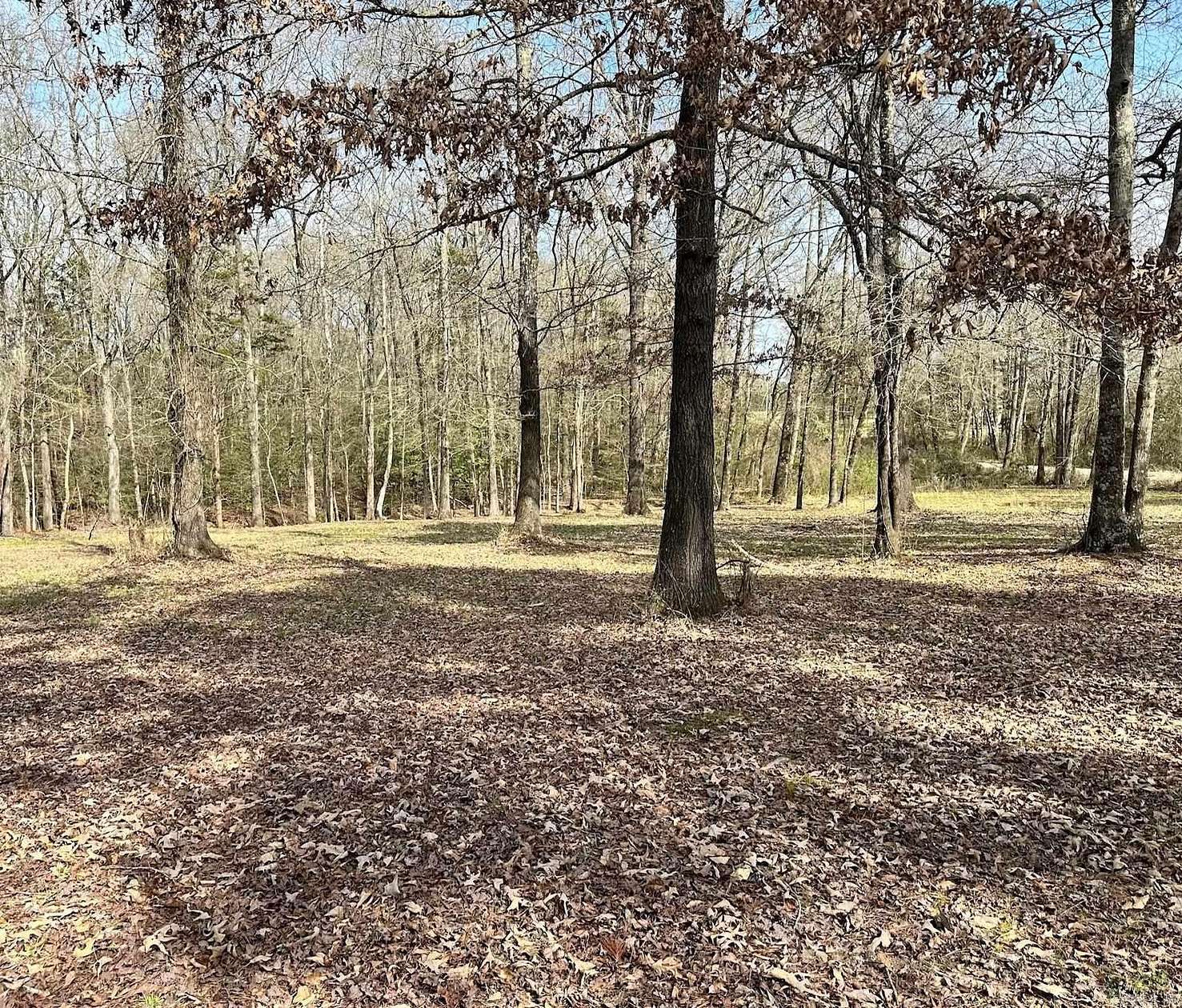 0.65 Acres of Residential Land for Sale in Hatfield, Arkansas