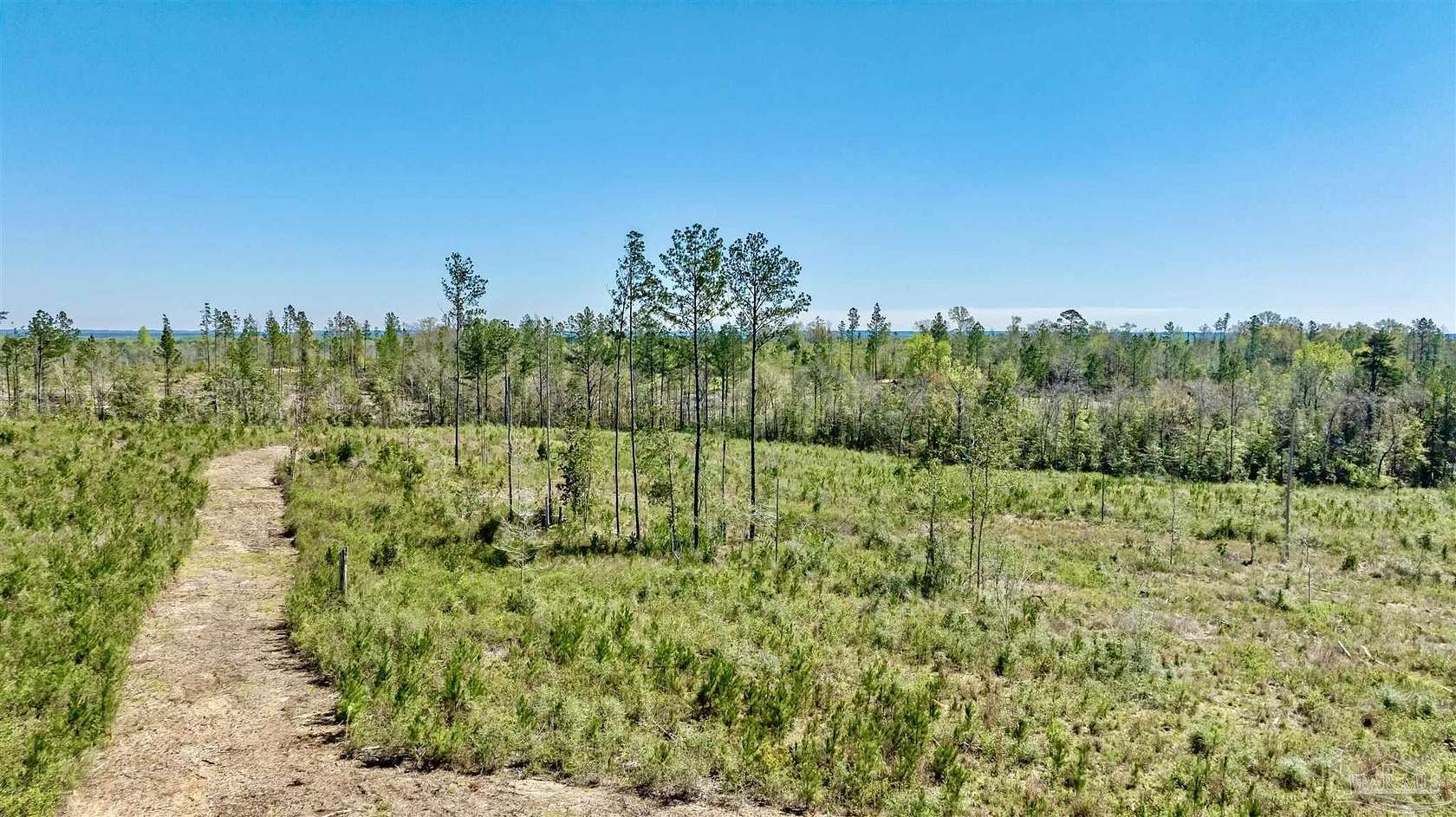 12.7 Acres of Land for Sale in Molino, Florida