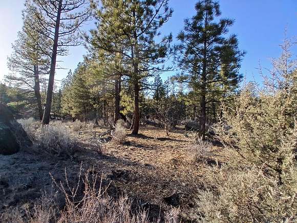 1.6 Acres of Residential Land for Sale in Chiloquin, Oregon