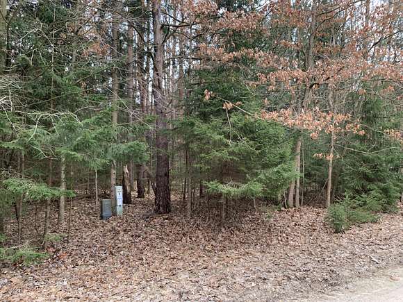 0.39 Acres of Residential Land for Sale in Canadian Lakes, Michigan
