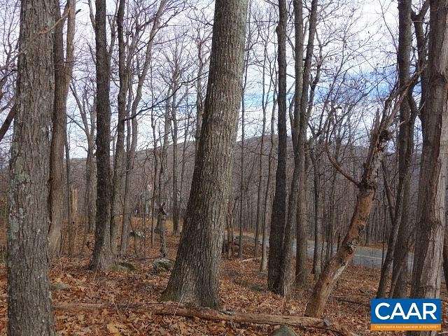 0.46 Acres of Residential Land for Sale in Wintergreen, Virginia