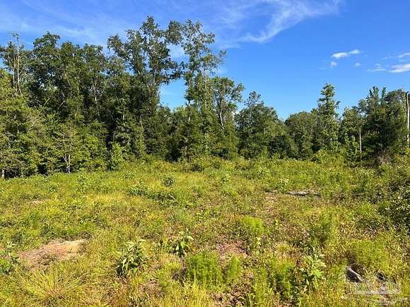 5.8 Acres of Land for Sale in Molino, Florida