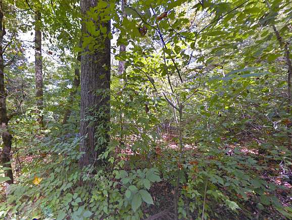 5.7 Acres of Land for Sale in Athens, Tennessee