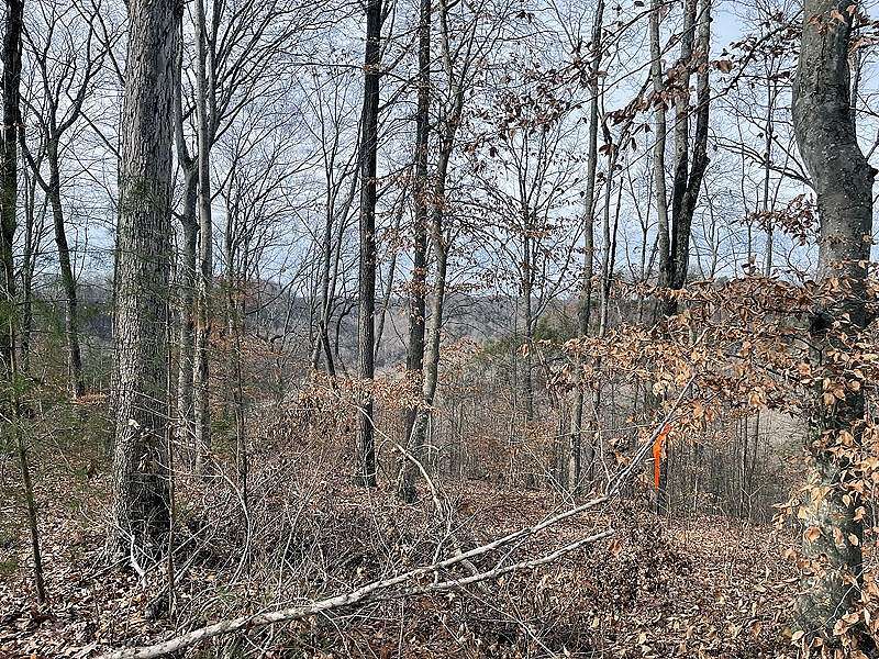 1.1 Acres of Land for Sale in Russell Springs, Kentucky