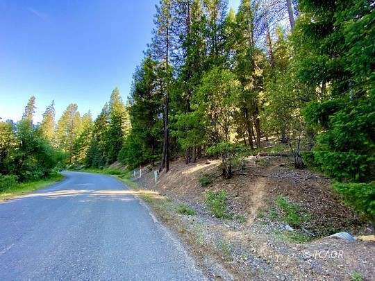 1.47 Acres of Residential Land for Sale in Hayfork, California