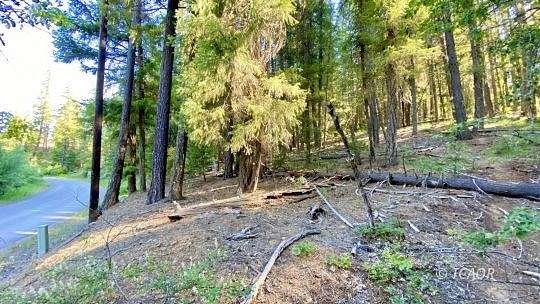 1.47 Acres of Residential Land for Sale in Hayfork, California