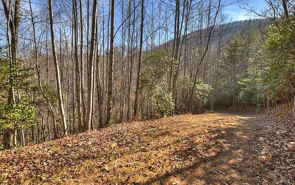 10.5 Acres of Recreational Land for Sale in Blairsville, Georgia