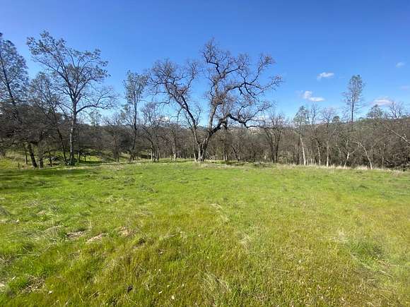 11.7 Acres of Land for Sale in Coarsegold, California