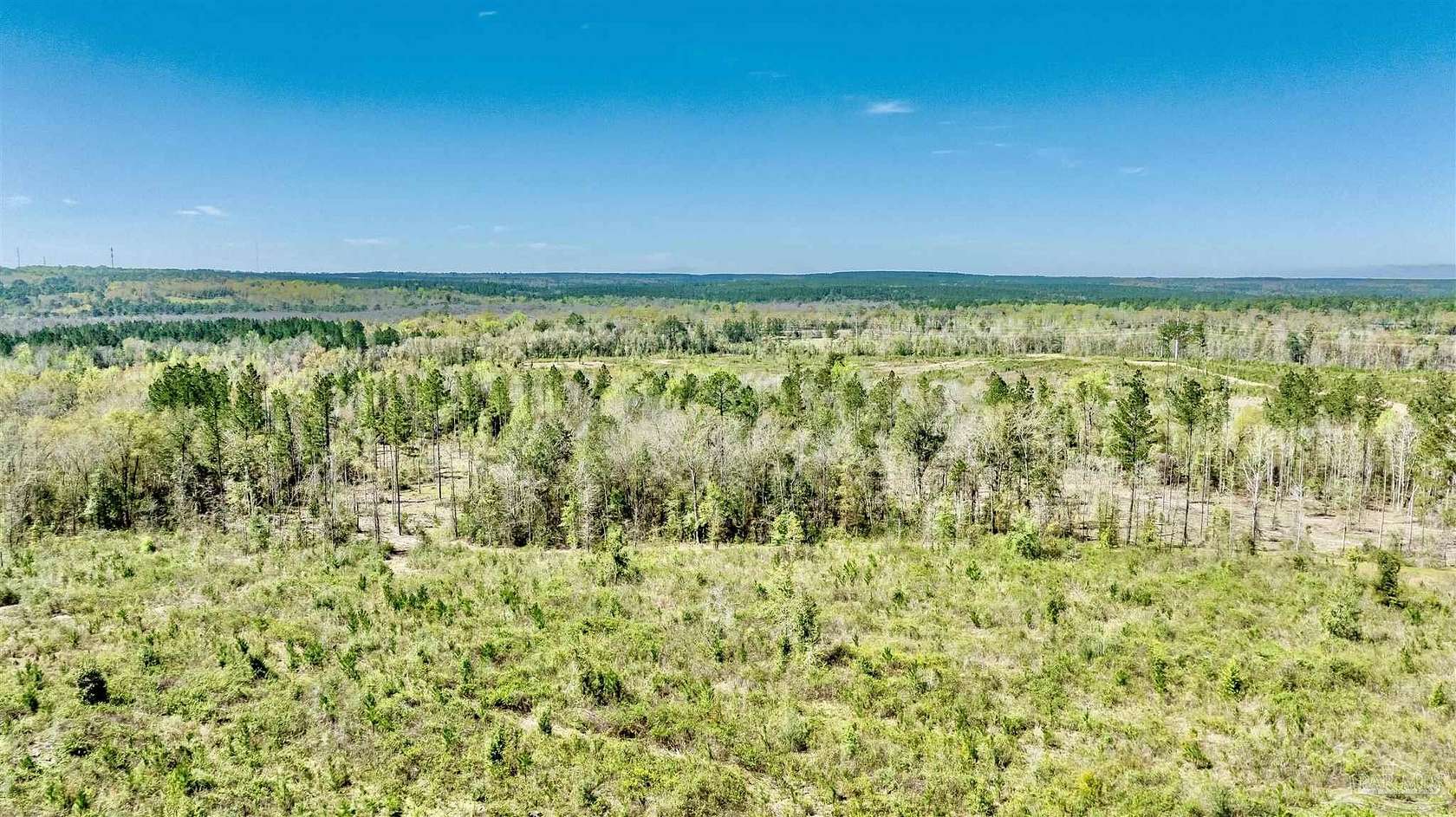 14 Acres of Land for Sale in Molino, Florida