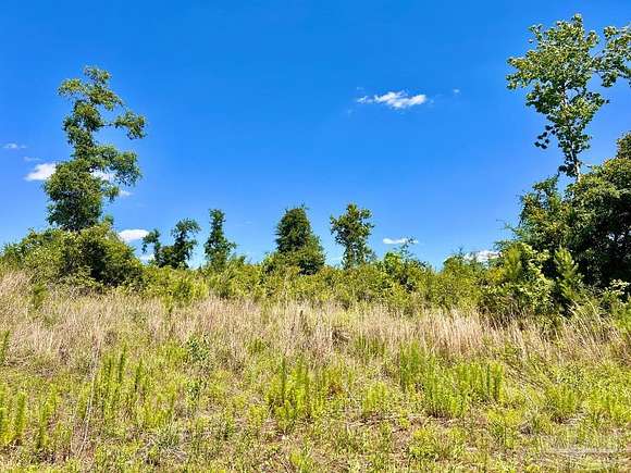 14 Acres of Land for Sale in Molino, Florida