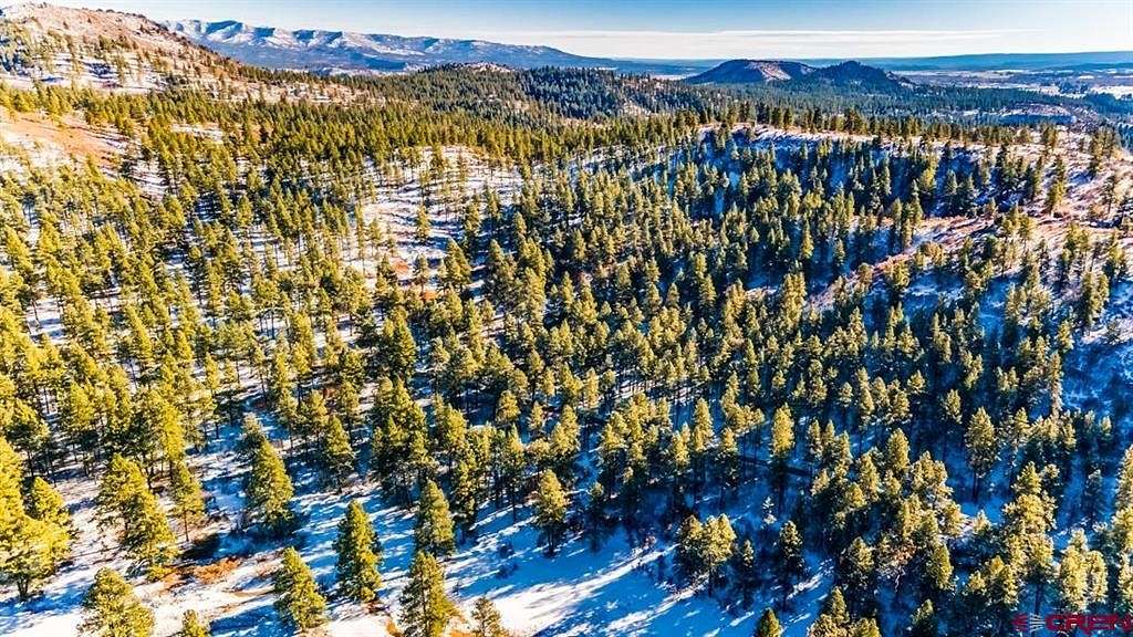 35 Acres of Land for Sale in Bayfield, Colorado