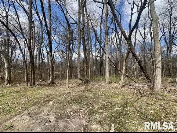 2.9 Acres of Residential Land for Sale in Greenview, Illinois