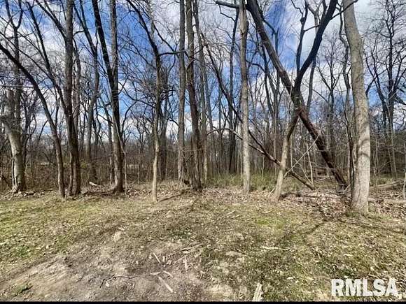 2.85 Acres of Residential Land for Sale in Greenview, Illinois