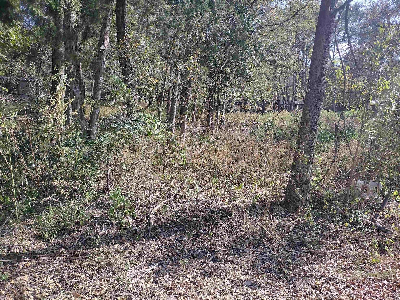 0.22 Acres of Residential Land for Sale in Sylamore, Arkansas