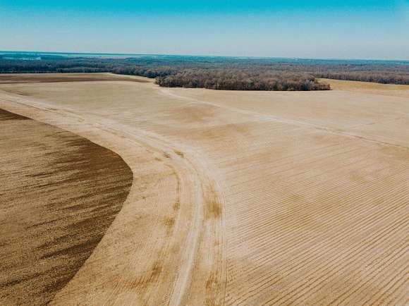 1,007 Acres of Recreational Land & Farm for Sale in Gillett, Arkansas