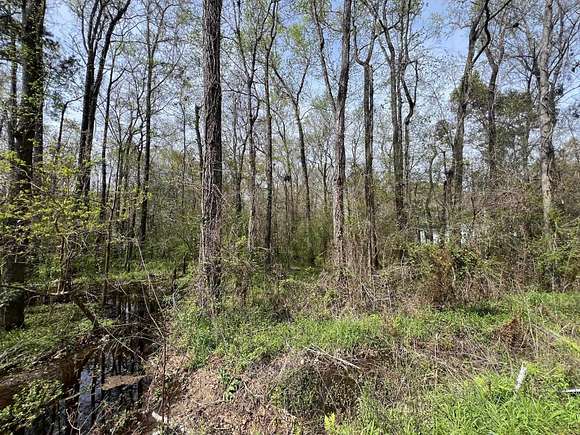 1.5 Acres of Land for Sale in Tallahassee, Florida