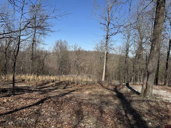 17.27 Acres of Land for Sale in Yellville, Arkansas