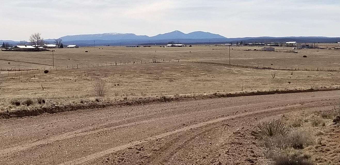4.2 Acres of Agricultural Land for Sale in Moriarty, New Mexico