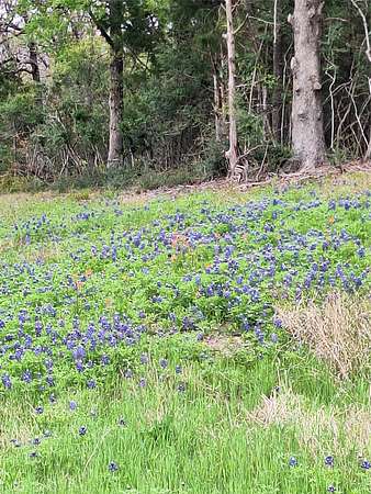 9.53 Acres of Residential Land for Sale in Thornton, Texas