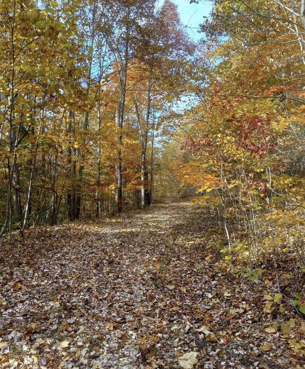 1.67 Acres of Residential Land for Sale in Stanton, Kentucky