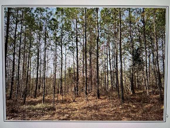 159 Acres of Land for Sale in Big Creek, Mississippi