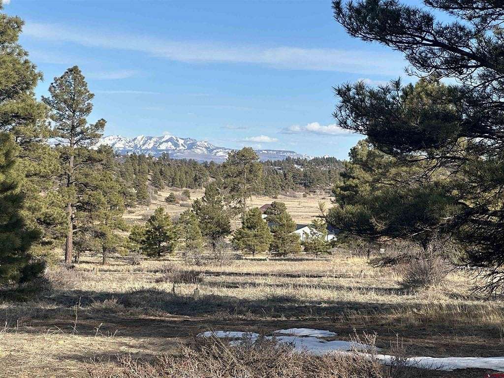 0.57 Acres of Residential Land for Sale in Pagosa Springs, Colorado