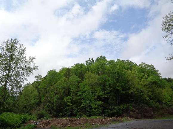17.1 Acres of Land for Sale in Welch, West Virginia
