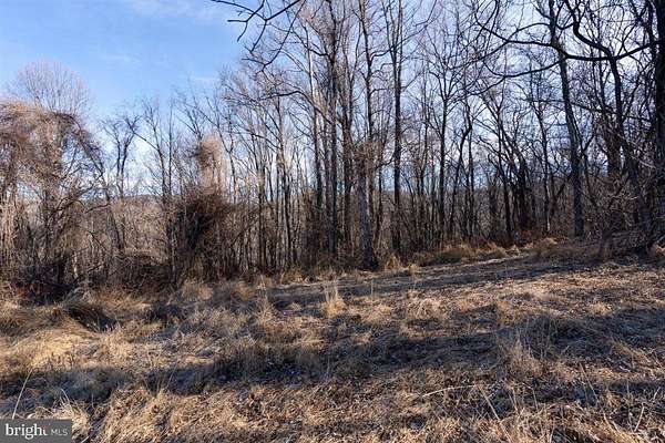 3 Acres of Agricultural Land for Sale in Elkton, Virginia