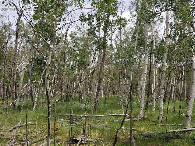 1.1 Acres of Land for Sale in Lake George, Colorado