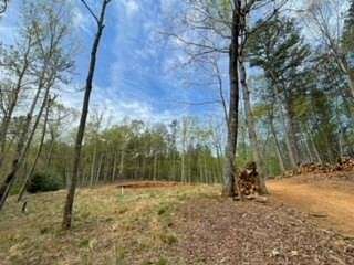 3.9 Acres of Residential Land for Sale in Ellijay, Georgia
