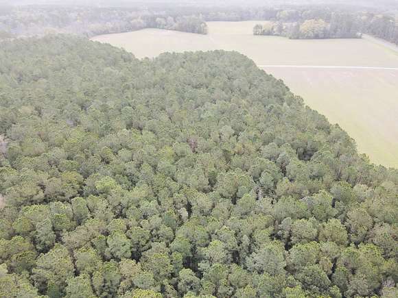 15 Acres of Recreational Land for Sale in Harrells, North Carolina