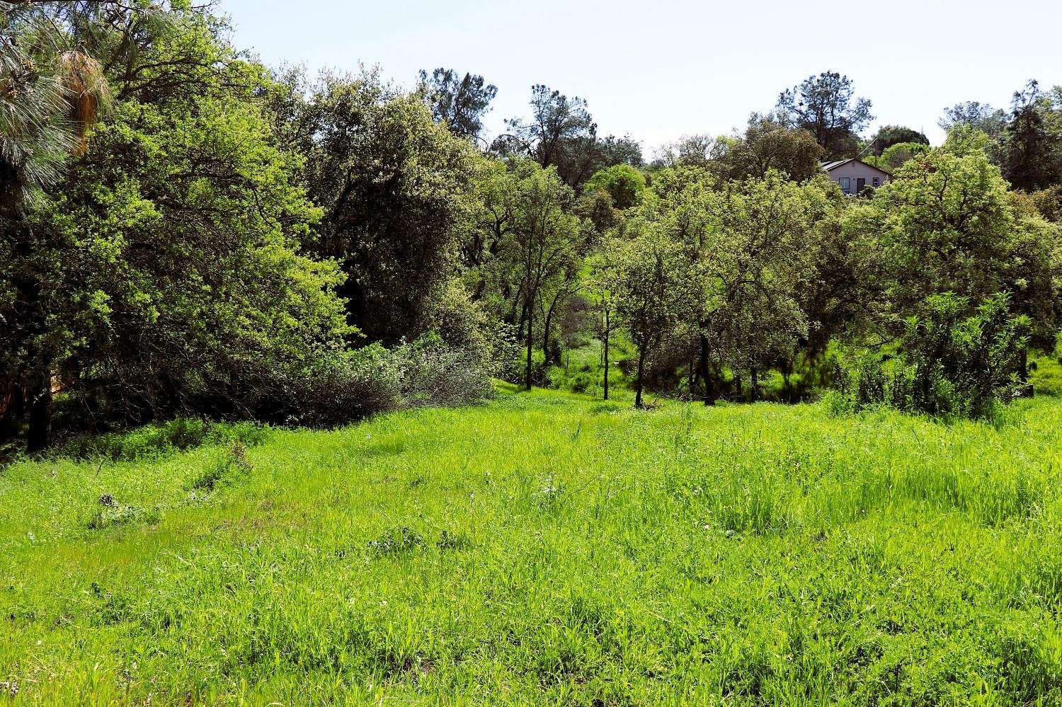 0.5 Acres of Residential Land for Sale in Valley Springs, California