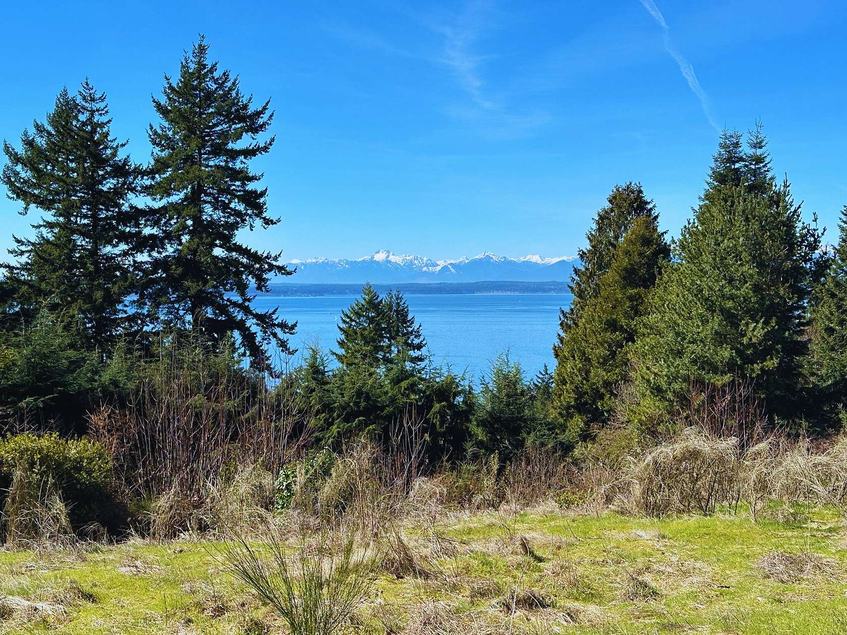 0.36 Acres of Residential Land for Sale in Seattle, Washington