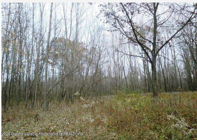4.6 Acres of Land for Sale in Williamston, Michigan