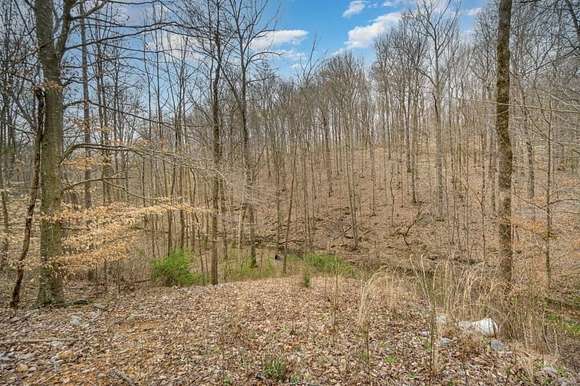 6 Acres of Residential Land for Sale in Joelton, Tennessee