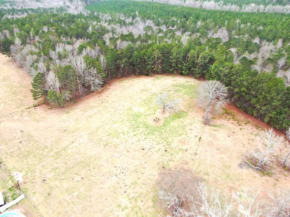 69 Acres of Recreational Land for Sale in Wallsboro, Alabama