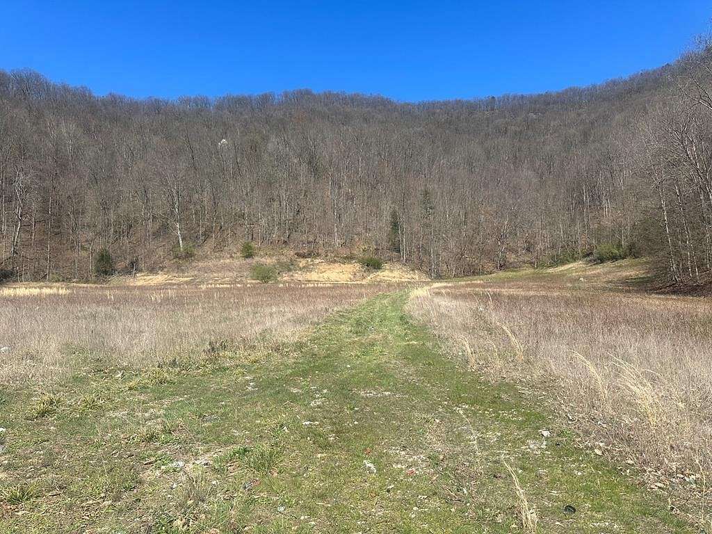 90 Acres of Land for Sale in Pikeville, Kentucky