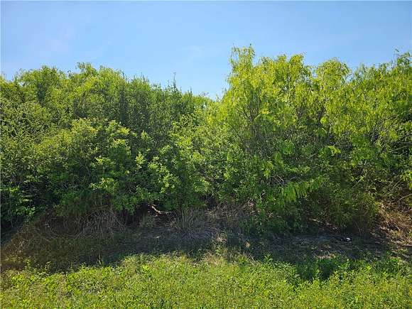 Land for Sale in Bayside, Texas