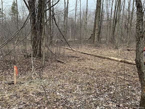 0.18 Acres of Residential Land for Sale in Angola, New York