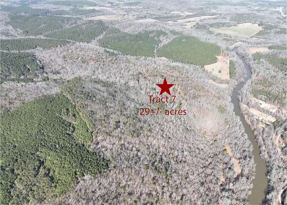 29 Acres of Recreational Land for Auction in Wedowee, Alabama