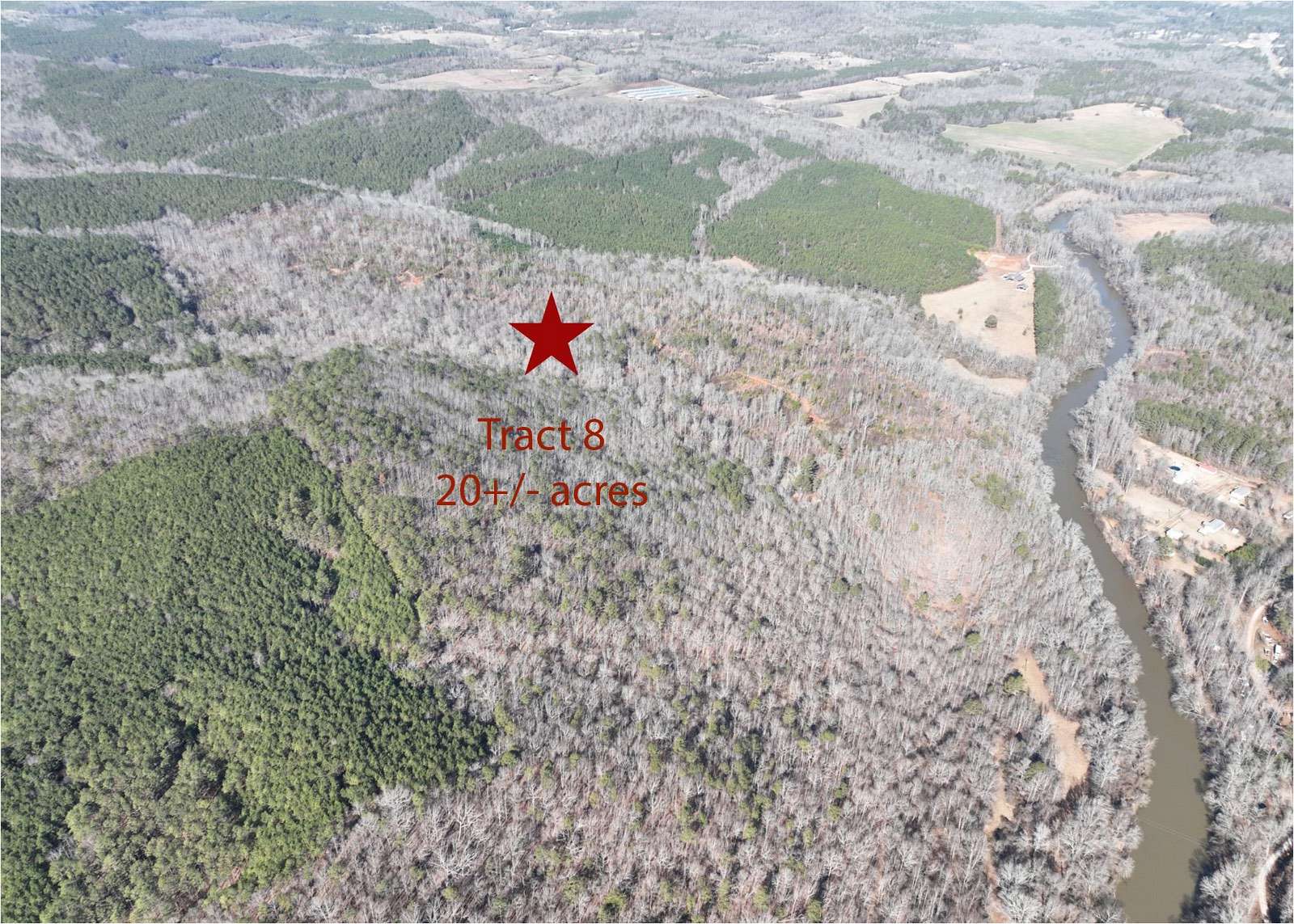 20 Acres of Recreational Land for Auction in Wedowee, Alabama